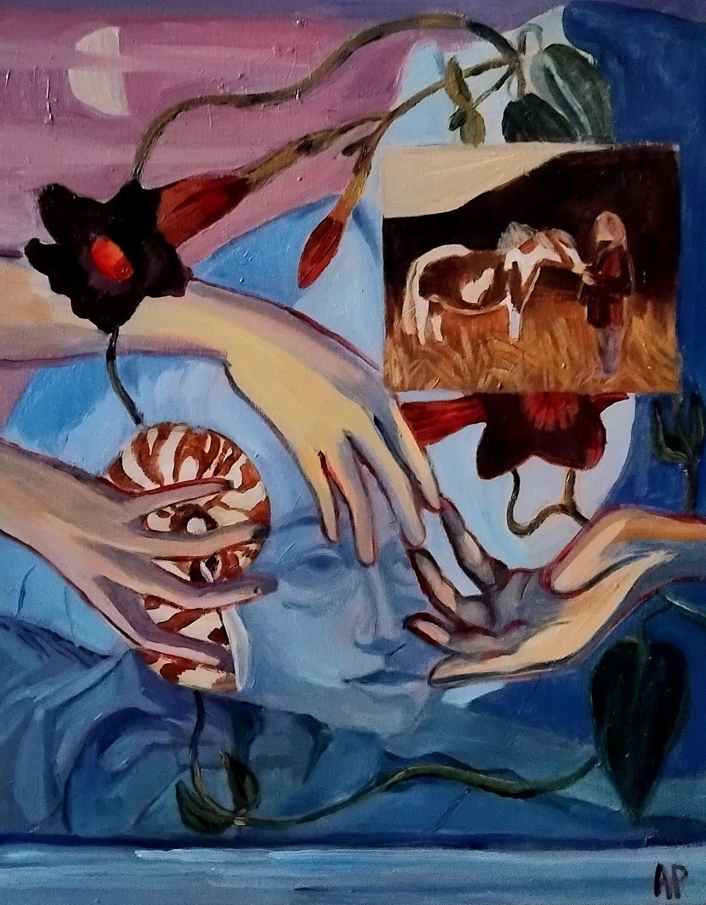 Teachings of the wise woman